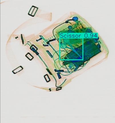 Detection preview by Segmentation_v8_large_300_train_300