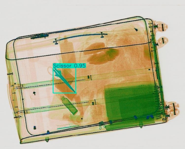 Detection preview by Segmentation_v8_large_300_train_300