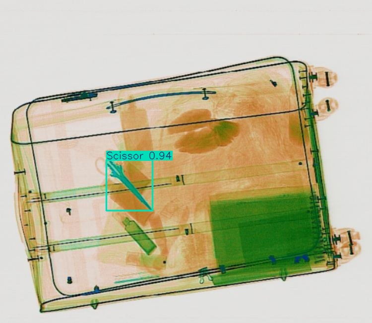 Detection preview by Segmentation_v8_large_300_train_300
