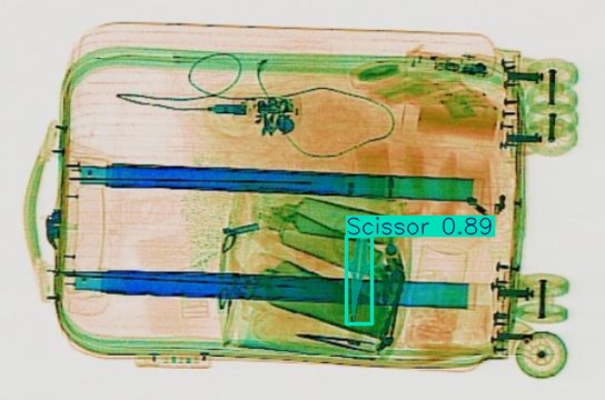 Detection preview by Segmentation_v8_large_300_train_300