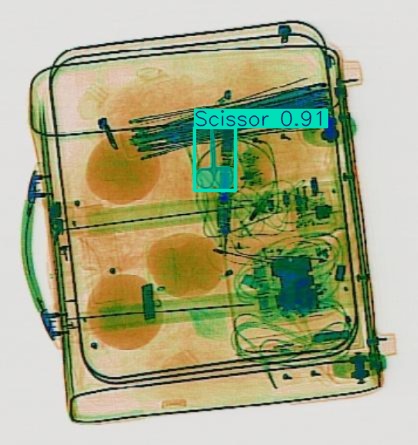 Detection preview by Segmentation_v8_large_300_train_300