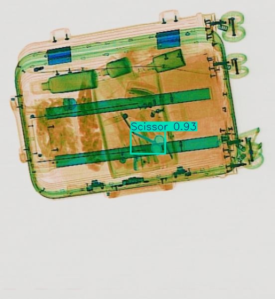 Detection preview by Segmentation_v8_large_300_train_300