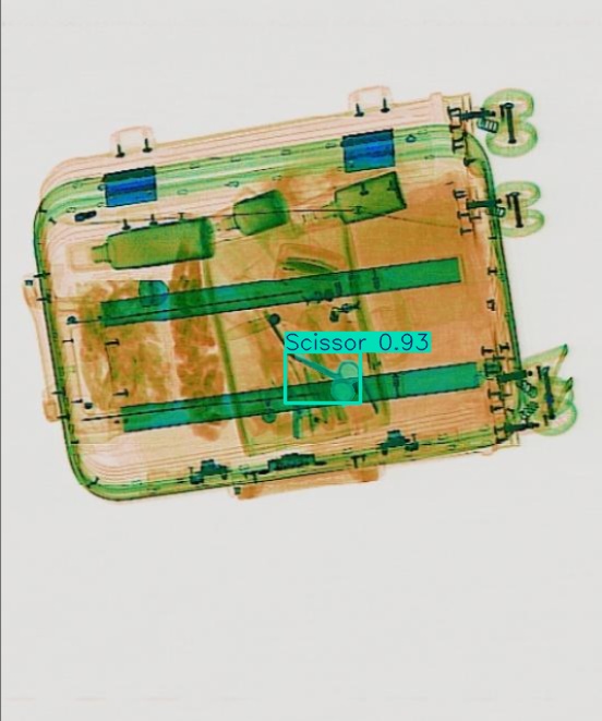 Detection preview by Segmentation_v8_large_300_train_300