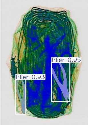 Detection preview by Segmentation_v8_large_300_train_300