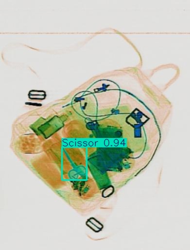 Detection preview by Segmentation_v8_large_300_train_300