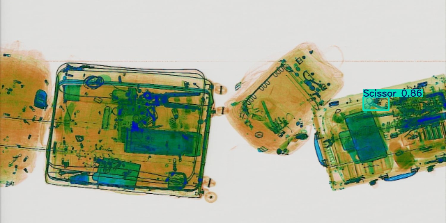 Detection preview by Segmentation_v8_large_300_train_300