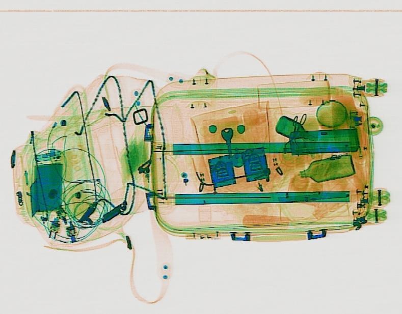 Detection preview by Segmentation_v8_large_300_train_300