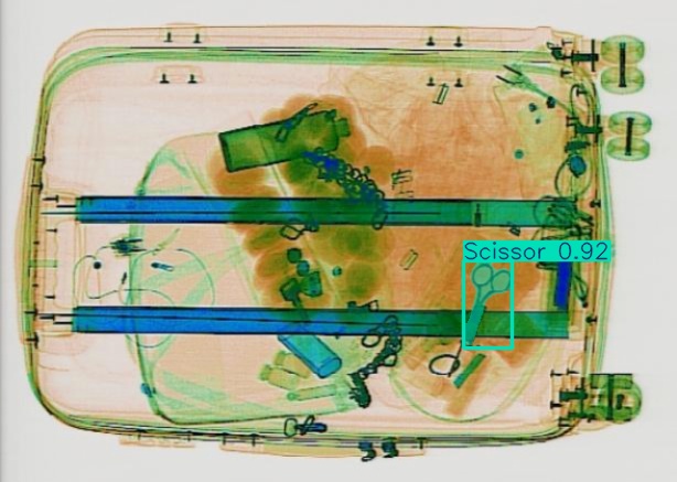 Detection preview by Segmentation_v8_large_300_train_300