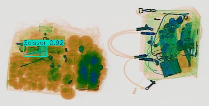 Detection preview by Segmentation_v8_large_300_train_300