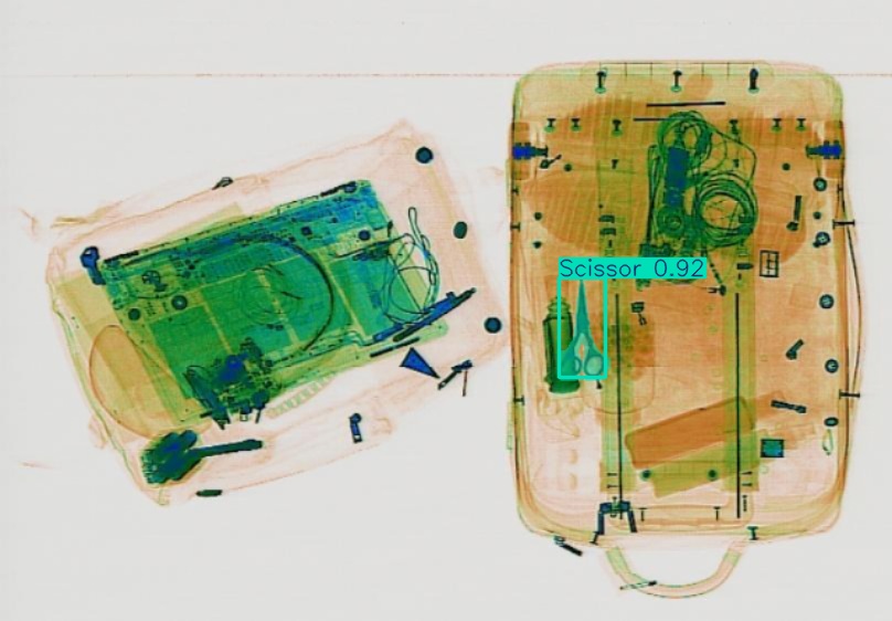 Detection preview by Segmentation_v8_large_300_train_300