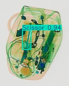 Detection preview by Segmentation_v8_large_300_train_300