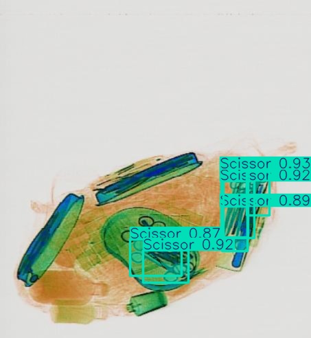 Detection preview by Segmentation_v8_large_300_train_300