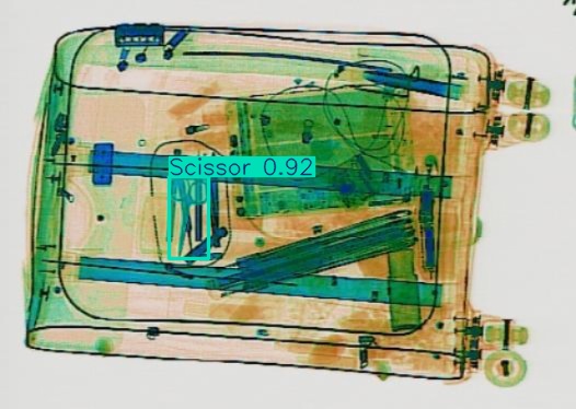 Detection preview by Segmentation_v8_large_300_train_300