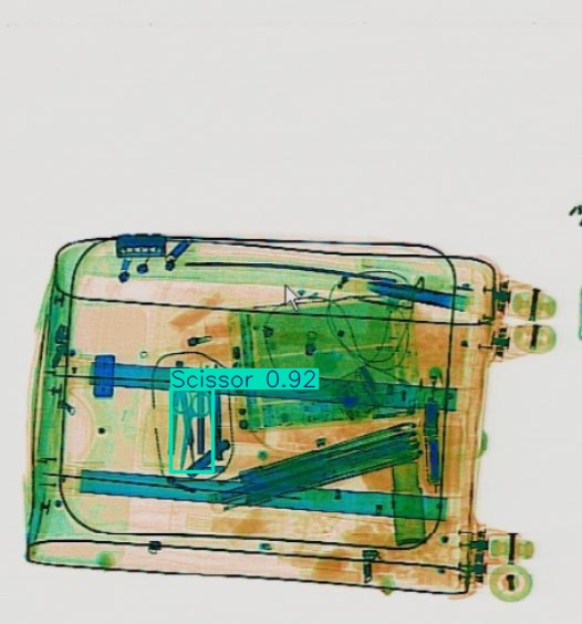 Detection preview by Segmentation_v8_large_300_train_300