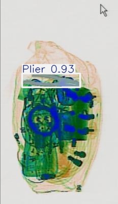Detection preview by Segmentation_v8_large_300_train_300
