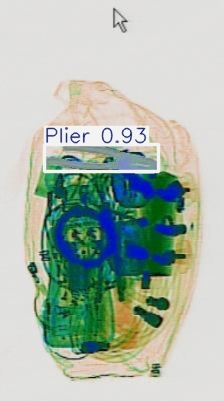 Detection preview by Segmentation_v8_large_300_train_300