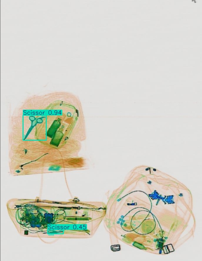 Detection preview by Segmentation_v8_large_300_train_300