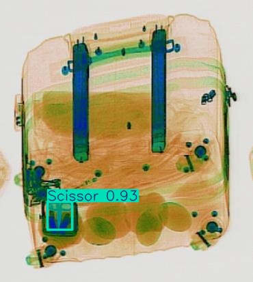 Detection preview by Segmentation_v8_large_300_train_300