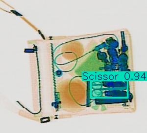 Detection preview by Segmentation_v8_large_300_train_300