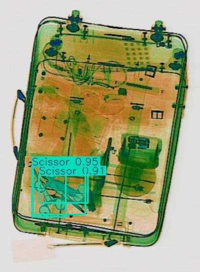 Detection preview by Segmentation_v8_large_300_train_300