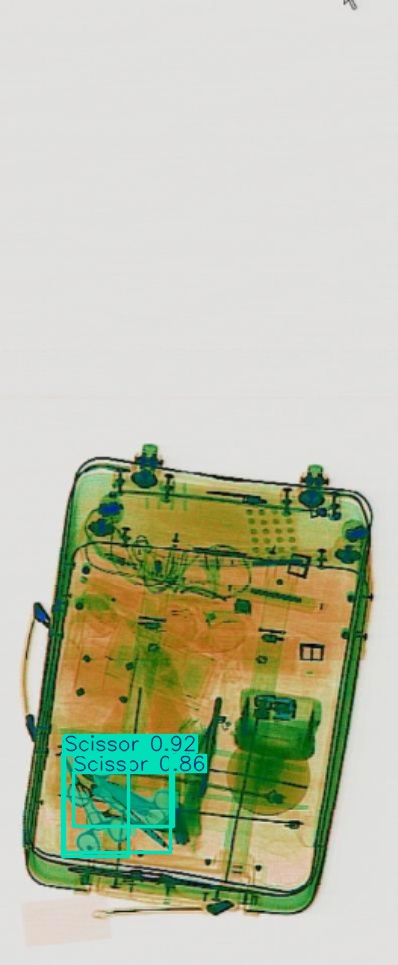 Detection preview by Segmentation_v8_large_300_train_300