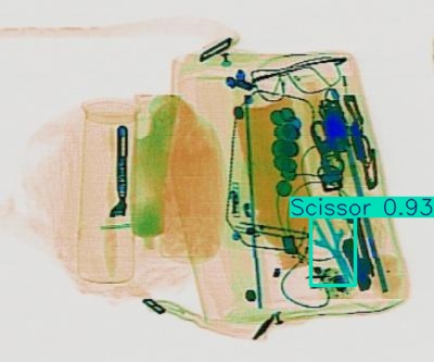 Detection preview by Segmentation_v8_large_300_train_300