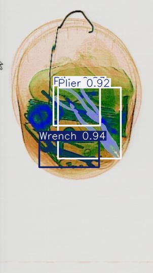 Detection preview by Segmentation_v8_large_300_train_300