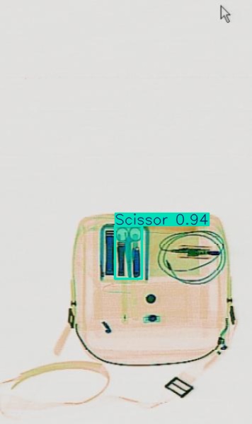 Detection preview by Segmentation_v8_large_300_train_300