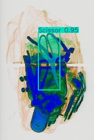 Detection preview by Segmentation_v8_large_300_train_300