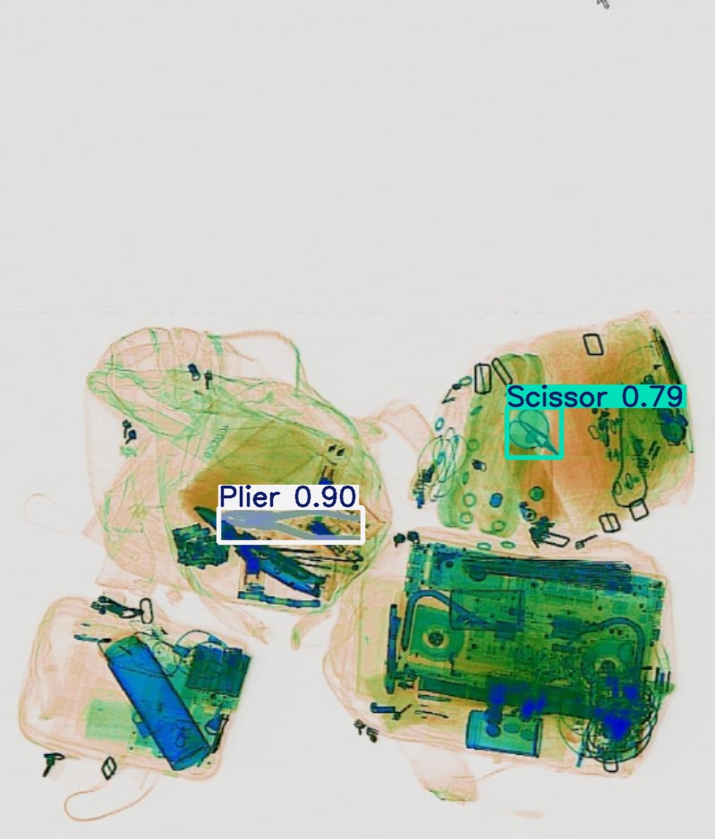 Detection preview by Segmentation_v8_large_300_train_300