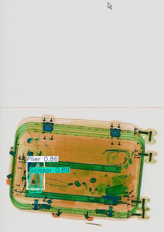 Detection preview by Segmentation_v8_large_300_train_300