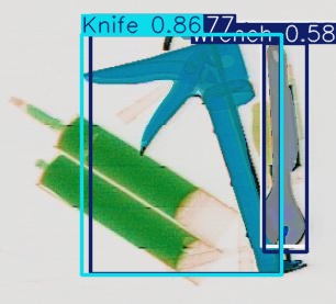 Detection preview by Segmentation_v8_large_300_train_300