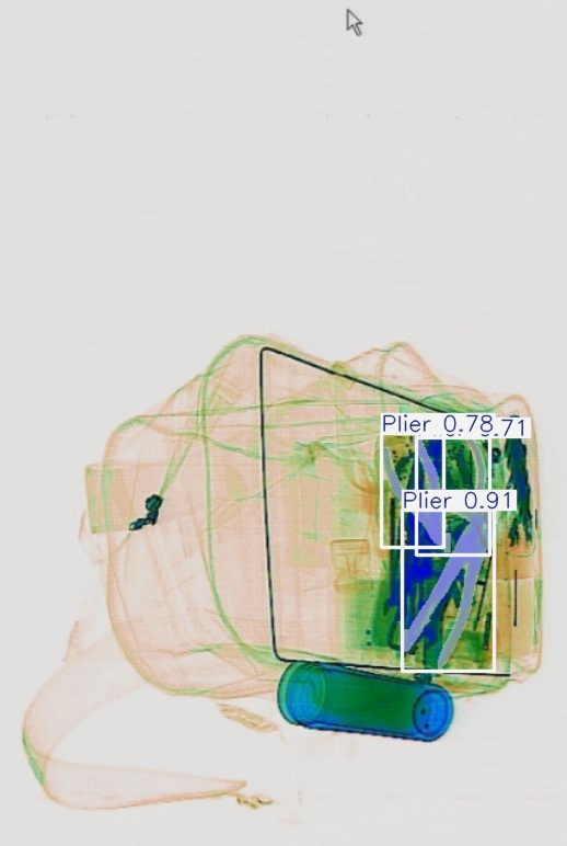 Detection preview by Segmentation_v8_large_300_train_300