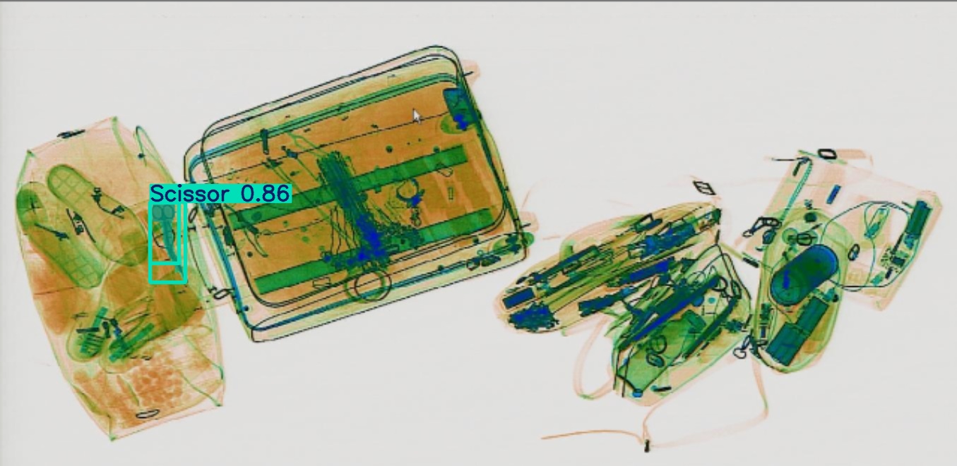 Detection preview by Segmentation_v8_large_300_train_300