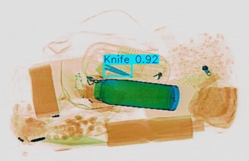 Detection preview by Segmentation_v8_large_300_train_300