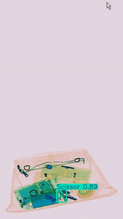 Detection preview by Segmentation_v8_large_300_train_300