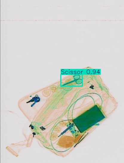 Detection preview by Segmentation_v8_large_300_train_300