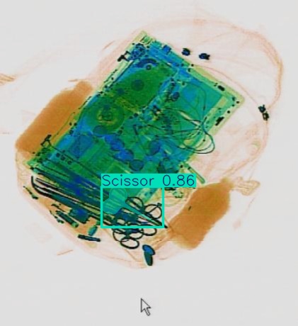 Detection preview by Segmentation_v8_large_300_train_300