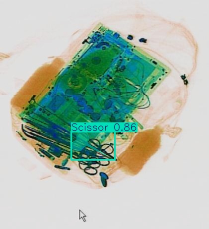 Detection preview by Segmentation_v8_large_300_train_300