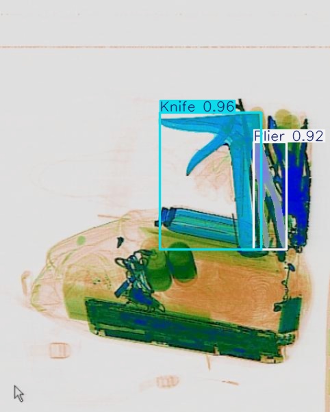 Detection preview by Segmentation_v8_large_300_train_300