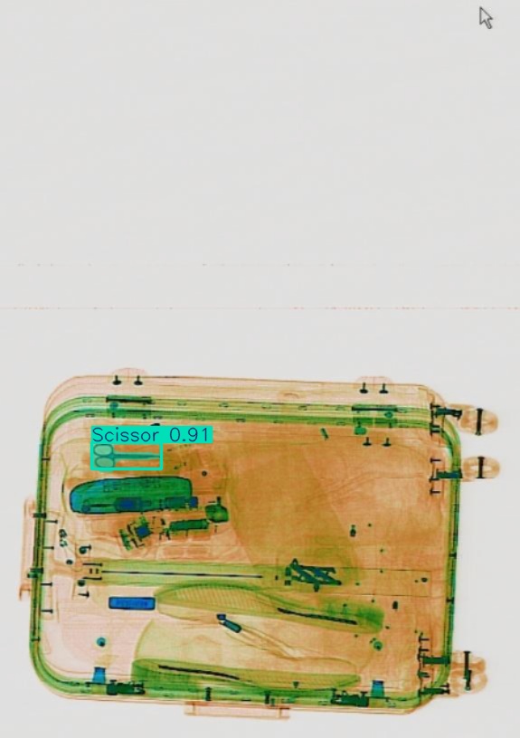 Detection preview by Segmentation_v8_large_300_train_300