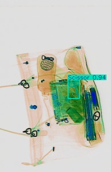 Detection preview by Segmentation_v8_large_300_train_300