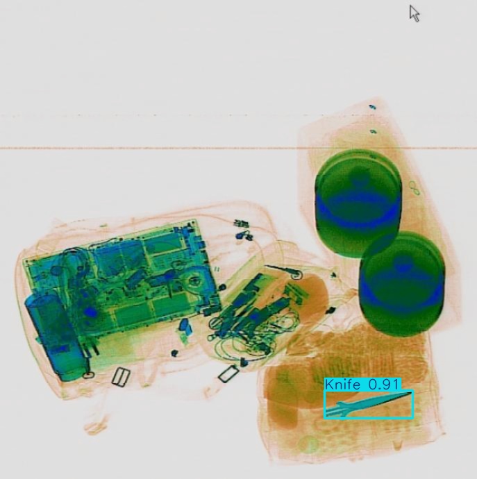 Detection preview by Segmentation_v8_large_300_train_300