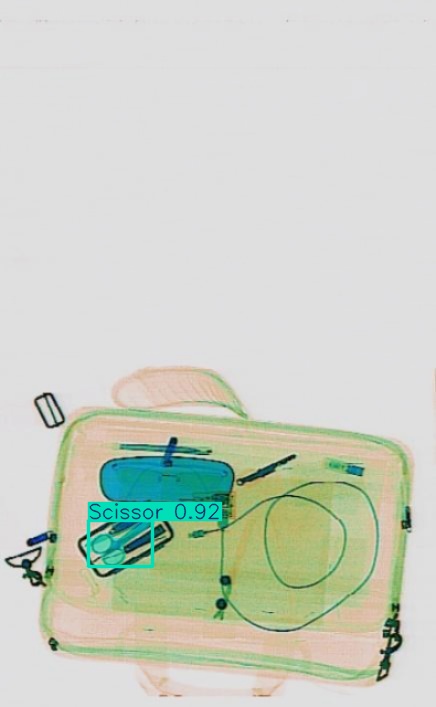 Detection preview by Segmentation_v8_large_300_train_300