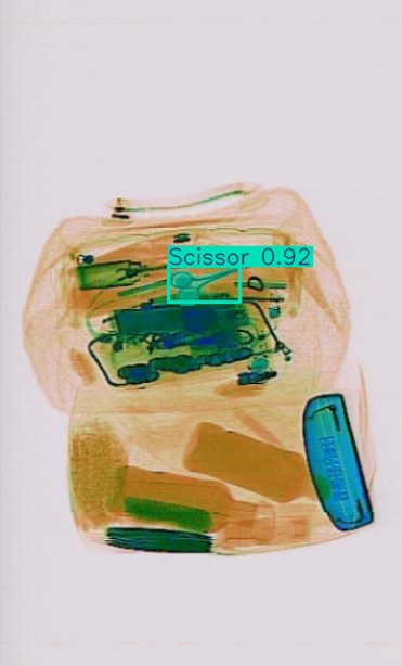 Detection preview by Segmentation_v8_large_300_train_300