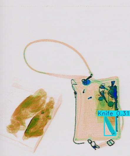 Detection preview by Segmentation_v8_large_300_train_300