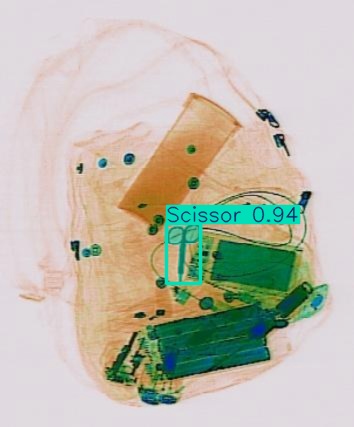 Detection preview by Segmentation_v8_large_300_train_300