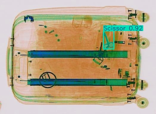 Detection preview by Segmentation_v8_large_300_train_300