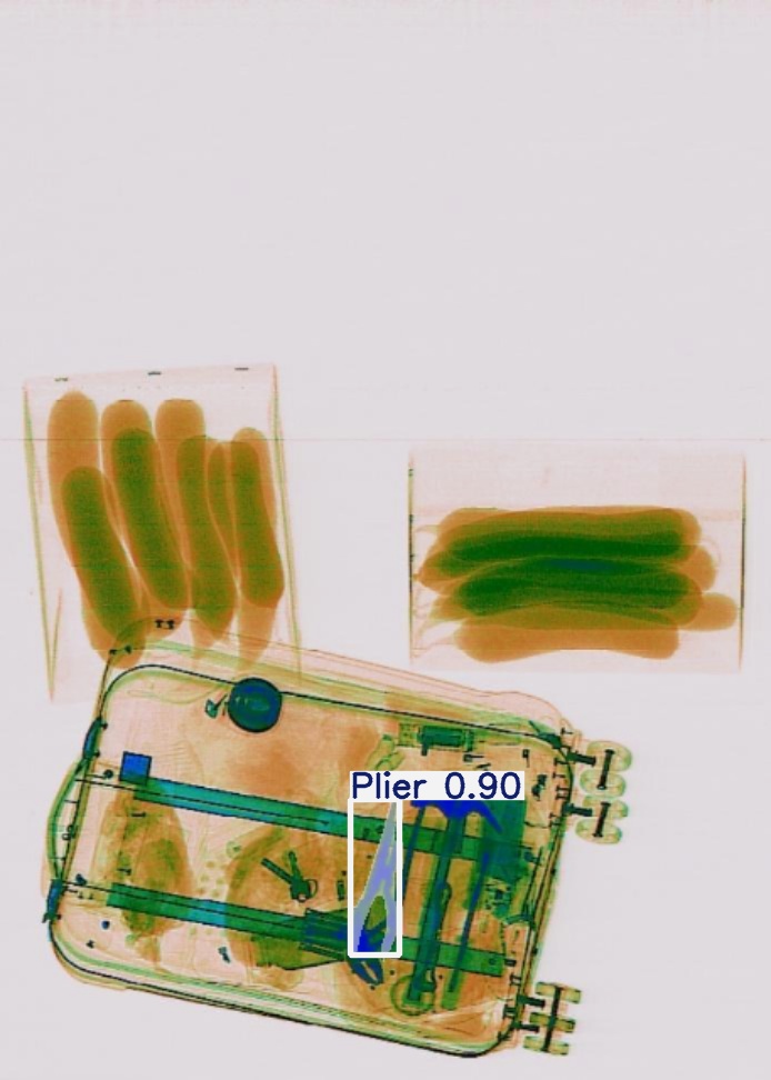 Detection preview by Segmentation_v8_large_300_train_300