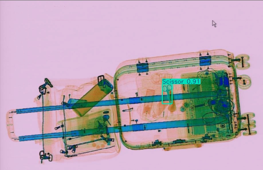 Detection preview by Segmentation_v8_large_300_train_300